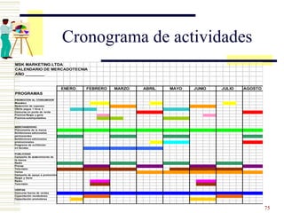 Cronograma de actividades 