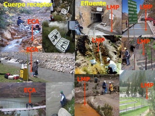 ECA
ECA
ECA
LMP LMP
LMP
LMP
LMP
LMP
EfluenteCuerpo receptor
 