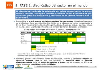 13Elaboración y acompañamiento del Plan de Negocios para el Sector Hortofrutícola en Colombia. FASE IV. Plan de Negocio Aguacate
Esto unido a la prácticamente inexistente ventana de oportunidad derivada del calendario
de producciones hace que Colombia deba incidir en la búsqueda de mayor competitividad a
través de un mayor rendimiento del cultivo por hectárea, el costo de cultivo o su mejor calidad
en cuanto a sabor y contenido del aceite para competir de manera destacable en el sector.
Colombia, gracias a las diferentes zonas de producción, altitudes y variedades dispone de
aguacate durante todo el año. Sin embargo, la variedad Hass se produce
mayoritariamente entre los meses de octubre y marzo. Por su situación, las épocas de
mayor producción coincidirán con las de México.
2. FASE 2, diagnóstico del sector en el mundo
CALENDARIO DE PRODUCCIÓN ANUAL MUNDIAL, VENTANAS DE OPORTUNIDADES
Países/ Meses Ene Feb Mar Abr May Jun Jul Ago Sep Oct Nov Dic
México
Chile
Perú
Sudafrica
Colombia
Elevada presencia en el mercado
Media presencia en el mercado
Baja presencia en el mercado
Estacionalidad de la oferta de aguacate. Fuente: Elaboración propia a partir de datos de United Nations
Commodity Trade Statistics Database Medias 2011-2012.
El diagnóstico evidencia la existencia de países competidores de escala
mundial que han conseguido obtener economías de escala o destacan por
un mayor grado de integración y desarrollo de la cadena sectorial que la
de Colombia.
 