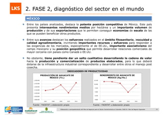 15Elaboración y acompañamiento del Plan de Negocios para el Sector Hortofrutícola en Colombia. FASE IV. Plan de Negocio Aguacate
2. FASE 2, diagnóstico del sector en el mundo
Fuente : FAOSTAT y elaboración propia
INDICADORES DE PRODUCTIVIDAD
MÉXICO
Entre los países analizados, destaca la potente posición competitiva de México. Este país
presenta interesantes rendimientos medios por hectárea y un importante volumen de
producción y de sus exportaciones que le permiten conseguir economías de escala de las
que se pueden beneficiar otros productos.
Entre sus avances destacan los esfuerzos realizados en el ámbito fitosanitario, inocuidad y
calidad agroalimentaria, invirtiendo importantes recursos y esfuerzos para responder a
las exigencias de los mercados, especialmente el de EE.UU., importante asociativismo del
campo mexicano y su posición geopolítica que permite desarrollar relaciones comerciales de
mayor cercanía con países como Canadá o EE.UU.
No obstante, tiene pendiente dar un salto cualitativo desarrollando la cadena de valor
hacia la producción y comercialización de productos elaborados, para lo que deberá
dotarse de la infraestructura industrial correspondiente y desarrollar entre otros el manejo post
cosecha.
Fuente : FAOSTAT y elaboración propia
 