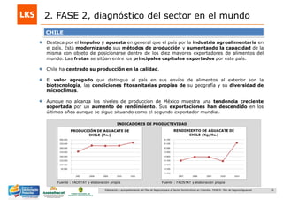 16Elaboración y acompañamiento del Plan de Negocios para el Sector Hortofrutícola en Colombia. FASE IV. Plan de Negocio Aguacate
2. FASE 2, diagnóstico del sector en el mundo
Fuente : FAOSTAT y elaboración propia
INDICADORES DE PRODUCTIVIDAD
CHILE
Destaca por el impulso y apuesta en general que el país por la industria agroalimentaria en
el país. Está modernizando sus métodos de producción y aumentando la capacidad de la
misma con objeto de posicionarse dentro de los diez mayores exportadores de alimentos del
mundo. Las frutas se sitúan entre los principales capítulos exportados por este país.
Chile ha centrado su producción en la calidad.
El valor agregado que distingue al país en sus envíos de alimentos al exterior son la
biotecnología, las condiciones fitosanitarias propias de su geografía y su diversidad de
microclimas.
Aunque no alcanza los niveles de producción de México muestra una tendencia creciente
soportada por un aumento de rendimiento. Sus exportaciones han descendido en los
últimos años aunque se sigue situando como el segundo exportador mundial.
Fuente : FAOSTAT y elaboración propia
 