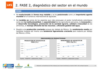 17Elaboración y acompañamiento del Plan de Negocios para el Sector Hortofrutícola en Colombia. FASE IV. Plan de Negocio Aguacate
2. FASE 2, diagnóstico del sector en el mundo
Fuente : FAOSTAT y elaboración propia
INDICADORES DE PRODUCTIVIDAD
PERÚ
Ha evolucionado de forma muy notable y se ha posicionado como un importante agente
mundial en el comercio internacional de aguacate.
Ha incidido en varios de los aspectos que más preocupan al sector hortofrutícola colombiano
como son la institucionalidad, la asociatividad de los agricultores peruanos, la innovación y
el desarrollo tecnológico, promoción de la sanidad agraria, calidad e inocuidad de los
alimentos, el manejo eficiente de los recursos y eficiente gestión del agua.
Muestra una producción creciente aunque por debajo de México. Su rendimiento medio por
hectárea muestra así mismo una tendencia ligeramente creciente pero todavía por debajo
de México y Chile.
Fuente : FAOSTAT y elaboración propia
 