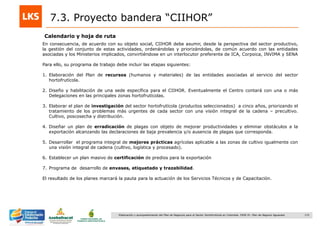 172Elaboración y acompañamiento del Plan de Negocios para el Sector Hortofrutícola en Colombia. FASE IV. Plan de Negocio Aguacate
Calendario y hoja de ruta
7.3. Proyecto bandera “CIIHOR”
En consecuencia, de acuerdo con su objeto social, CIIHOR debe asumir, desde la perspectiva del sector productivo,
la gestión del conjunto de estas actividades, ordenándolas y priorizándolas, de común acuerdo con las entidades
asociadas y los Ministerios implicados, convirtiéndose en un interlocutor preferente de ICA, Corpoica, INVIMA y SENA
Para ello, su programa de trabajo debe incluir las etapas siguientes:
1. Elaboración del Plan de recursos (humanos y materiales) de las entidades asociadas al servicio del sector
hortofrutícola.
2. Diseño y habilitación de una sede específica para el CIIHOR. Eventualmente el Centro contará con una o más
Delegaciones en las principales zonas hortofrutícolas.
3. Elaborar el plan de investigación del sector hortofrutícola (productos seleccionados) a cinco años, priorizando el
tratamiento de los problemas más urgentes de cada sector con una visión integral de la cadena – precultivo.
Cultivo, poscosecha y distribución.
4. Diseñar un plan de erradicación de plagas con objeto de mejorar productividades y eliminar obstáculos a la
exportación alcanzando las declaraciones de baja prevalencia y/o ausencia de plagas que corresponda.
5. Desarrollar el programa integral de mejores prácticas agrícolas aplicable a las zonas de cultivo igualmente con
una visión integral de cadena (cultivo, logística y procesado).
6. Establecer un plan masivo de certificación de predios para la exportación
7. Programa de desarrollo de envases, etiquetado y trazabilidad.
El resultado de los planes marcará la pauta para la actuación de los Servicios Técnicos y de Capacitación.
 