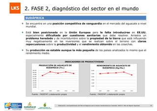 18Elaboración y acompañamiento del Plan de Negocios para el Sector Hortofrutícola en Colombia. FASE IV. Plan de Negocio Aguacate
2. FASE 2, diagnóstico del sector en el mundo
Fuente : FAOSTAT y elaboración propia
INDICADORES DE PRODUCTIVIDAD
SUDÁFRICA
Se encuentra en una posición competitiva de vanguardia en el mercado del aguacate a nivel
mundial.
Está bien posicionada en la Unión Europea pero le falta introducirse en EE.UU.
especialmente dificultada por cuestiones sanitarias que debe resolver. Arrastra un
problema heredado y de incertidumbre sobre la propiedad de la tierra que está influyendo
muy negativamente en las inversiones que se realizan sobre el terreno con claras
repercusiones sobre la productividad y el rendimiento obtenido en las cosechas.
Su producción es estable aunque la más pequeña de los países analizados lo mismo que el
rendimiento medio.
Fuente : FAOSTAT y elaboración propia
 