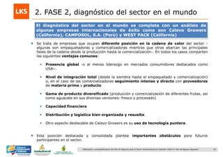20Elaboración y acompañamiento del Plan de Negocios para el Sector Hortofrutícola en Colombia. FASE IV. Plan de Negocio Aguacate
2. FASE 2, diagnóstico del sector en el mundo
El diagnóstico del sector en el mundo se completa con un análisis de
algunas empresas internacionales de éxito como son Calavo Growers
(California), CAMPOSOL, S.A. (Perú) y WEST PACK (California)
Se trata de empresas que ocupan diferente posición en la cadena de valor del sector -
algunas son empaquetadoras y comercializadoras mientras que otras abarcan las principales
fases de la cadena desde la producción hasta la comercialización-. En todos los casos comparten
las siguientes ventajas comunes:
 Presencia global -o al menos liderazgo en mercados consumidores destacados como
USA–.
 Nivel de integración total (desde la siembra hasta el empaquetado y comercialización)
o, en el caso de las comercializadoras seguimiento intenso y directo con proveedores
de materia prima y producto
 Gama de producto diversificado (producción y comercialización de diferentes frutas, así
como aguacate en sus diversas versiones: fresco y procesado)
 Capacidad financiera
 Distribución y logística bien organizada y resuelta.
 Otro aspecto destacable de Calavo Growers es su uso de tecnología puntera.
Esta posición destacada y consolidada plantea importantes obstáculos para futuros
participantes en el sector.
 