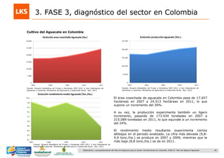 28Elaboración y acompañamiento del Plan de Negocios para el Sector Hortofrutícola en Colombia. FASE IV. Plan de Negocio Aguacate
3. FASE 3, diagnóstico del sector en Colombia
Cultivo del Aguacate en Colombia
El área cosechada de aguacate en Colombia pasa de 17.657
hectáreas en 2007 a 24.513 hectáreas en 2011, lo que
supone un incremento del 39%.
A su vez, la producción experimenta también un ligero
incremento, pasando de 173.934 toneladas en 2007 a
215.089 toneladas en 2011, lo que equivale a un incremento
del 24%.
El rendimiento medio resultante experimenta ciertos
altibajos en el periodo analizado. La cifra más elevada (9,8-
9,9 tons./ha.) se produce en 2007 y 2009, mientras que la
más baja (8,8 tons./ha.) se da en 2011.
Fuente: Anuario Estadístico de Frutas y Hortalizas 2007-2011 y Sus Calendarios de
Siembras y Cosechas. Ministerios de Agricultura y Desarrollo Rural. Nov. 2012
Fuente: Anuario Estadístico de Frutas y Hortalizas 2007-2011 y Sus Calendarios de
Siembras y Cosechas. Ministerios de Agricultura y Desarrollo Rural. Nov. 2012
Fuente: Anuario Estadístico de Frutas y Hortalizas 2007-2011 y Sus Calendarios de
Siembras y Cosechas. Ministerios de Agricultura y Desarrollo Rural. Nov. 2012
 