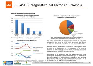 30Elaboración y acompañamiento del Plan de Negocios para el Sector Hortofrutícola en Colombia. FASE IV. Plan de Negocio Aguacate
3. FASE 3, diagnóstico del sector en Colombia
Cultivo del Aguacate en Colombia
Los cinco principales municipios productores de aguacate
concentran en torno al 42% como promedio del último
quinquenio de la producción total de esta fruta en Colombia.
En este sentido, destacan El Carmen de Bolívar (17% sobre
el total de la producción) y Fresno (12%). En el caso de
Carmen de Bolívar hay que hacer la salvedad de que se trata
de plantaciones silvestres y no de cultivos.
Atendiendo a la evolución que han experimentado estos
municipios, destaca el fuerte incremento que se produce en
Mariquita (85%). En el lado opuesto, destacan San Jacinto y
El Carmen de Chucuri, que experimentan un descenso de la
producción del 87% y 43%, respectivamente.
Fuente: Anuario Estadístico de Frutas y Hortalizas 2007-2011 y Sus Calendarios de
Siembras y Cosechas. Ministerios de Agricultura y Desarrollo Rural. Nov. 2012 Fuente: Anuario Estadístico de Frutas y Hortalizas 2007-2011 y Sus Calendarios de
Siembras y Cosechas. Ministerios de Agricultura y Desarrollo Rural. Nov. 2012
Fuente: Anuario Estadístico de Frutas y Hortalizas 2007-2011 y Sus Calendarios de
Siembras y Cosechas. Ministerios de Agricultura y Desarrollo Rural. Nov. 2012
 