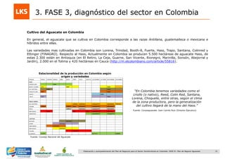 31Elaboración y acompañamiento del Plan de Negocios para el Sector Hortofrutícola en Colombia. FASE IV. Plan de Negocio Aguacate
3. FASE 3, diagnóstico del sector en Colombia
Cultivo del Aguacate en Colombia
En general, el aguacate que se cultiva en Colombia corresponde a las razas Antillana, guatemalteca o mexicana e
híbridos entre ellas.
Las variedades mas cultivadas en Colombia son Lorena, Trinidad, Booth-8, Fuerte, Hass, Trapo, Santana, Colinred y
Ettinger (FINAGRO). Respecto al Hass, Actualmente en Colombia se producen 5.500 hectáreas de aguacate Hass, de
estas 2.300 están en Antioquia (en El Retiro, La Ceja, Guarne, San Vicente, Rionegro, Marinilla, Sonsón, Abejorral y
Jardín), 2.000 en el Tolima y 420 hectáreas en Cauca (http://m.elcolombiano.com/article/55816).
Fuente: Consejo Nacional del Aguacate
Estacionalidad de la producción en Colombia según
origen y variedades
“En Colombia tenemos variedades como el
criollo (o nativo), Reed, Colin Red, Santana,
Lorena, Choquete, entre otras, según el clima
de la zona productora, pero la generalización
del cultivo llegará de la mano del Hass.”
Fuente: Corpoaguacate. Juan Camilo Ruiz (Director Ejecutivo)
 