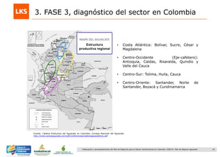 32Elaboración y acompañamiento del Plan de Negocios para el Sector Hortofrutícola en Colombia. FASE IV. Plan de Negocio Aguacate
Fuente: Cadena Productiva del Aguacate en Colombia. Consejo Nacional del Aguacate.
http://www.corpoaguacate.com/pdf/conferencias/cadenaaguacatehoy.pdf
• Costa Atlántica: Bolívar, Sucre, César y
Magdalena
• Centro-Occidente (Eje-cafetero):
Antioquia, Caldas, Risaralda, Quindío y
Valle del Cauca
• Centro-Sur: Tolima, Huila, Cauca
• Centro-Oriente: Santander, Norte de
Santander, Boyacá y Cundinamarca
3. FASE 3, diagnóstico del sector en Colombia
 