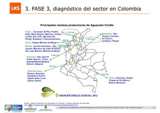 33Elaboración y acompañamiento del Plan de Negocios para el Sector Hortofrutícola en Colombia. FASE IV. Plan de Negocio Aguacate
Fuente: Cadena Productiva del Aguacate en Colombia. Consejo Nacional del Aguacate.
http://www.corpoaguacate.com/pdf/conferencias/cadenaaguacatehoy.pdf
3. FASE 3, diagnóstico del sector en Colombia
Principales núcleos productores de Aguacate Criollo
 