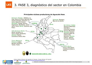 34Elaboración y acompañamiento del Plan de Negocios para el Sector Hortofrutícola en Colombia. FASE IV. Plan de Negocio Aguacate
Fuente: Cadena Productiva del Aguacate en Colombia. Consejo Nacional del Aguacate.
http://www.corpoaguacate.com/pdf/conferencias/cadenaaguacatehoy.pdf
3. FASE 3, diagnóstico del sector en Colombia
Principales núcleos productores de Aguacate Hass
 