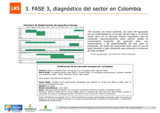 36Elaboración y acompañamiento del Plan de Negocios para el Sector Hortofrutícola en Colombia. FASE IV. Plan de Negocio Aguacate
“De acuerdo con datos recientes, de cada 100 aguacates
que se comercializan en el mundo, 90 son Hass y 10 de piel
verde, pero en el mercado interno colombiano aún se
consumen mayoritariamente estos últimos debido al
conocimiento incipiente del aguacate Hass, sus
características y las potencialidades del país para su
producción, por parte del consumidor local, para lo cual se
están llevando a cabo campañas para promover el consumo
de esta variedad.”
Calendario de abastecimiento del aguacate en Europa
Fuente: Corpoaguacate. Juan Camilo Ruiz (Director Ejecutivo)
Preferencias de los mercados europeos por variedades
Francia prefiere la variedad Hass, aunque en el sur se puede vender algo de Fuerte
Reino Unido. En supermercados, Hass (80%) y Fuerte (20%). En mercados concentradores, cualquier variedad
que madure en verde: Fuerte, Pinkerton, Bacon, Reed, Gwen
Otros países consumidores de Hass son:
Países Bajos. También se le puede vender variedades que maduren en verde como Bacon y Reed, pero no
fuerte (por problemas de piel)
España (solo Hass)
Países escandinavos: (solo Hass)
Suiza. Hass para supermercados, y en mercados mayoristas también se aceptan variedades verdes
Alemania, Austria e Italia son los únicos países donde el mercado del Hass está poco desarrollado y existe la
costumbre de consumir variedades verdes. Se asocia el color oscuro de la Hass con pudrición.
Fuente: Identificación del aguacate como un Rubro importante de grandes Oportunidades comerciales, según los Acuerdos de
integración, los nuevos Tratados comerciales y el comercio Mundial globalizado. Secretaría de Productividad y Competitividad.
GOBERNACIÓN DE ANTIOQUIA
3. FASE 3, diagnóstico del sector en Colombia
 