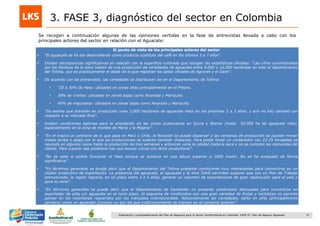 37Elaboración y acompañamiento del Plan de Negocios para el Sector Hortofrutícola en Colombia. FASE IV. Plan de Negocio Aguacate
Se recogen a continuación algunas de las opiniones vertidas en la fase de entrevistas llevada a cabo con los
principales actores del sector en relación con el Aguacate:
El punto de vista de los principales actores del sector
 “El aguacate se ha ido desarrollando como producto sustituto del café en los últimos 5 a 7 años”.
 Existen discrepancias significativas en relación con la superficie cultivada que recogen las estadísticas oficiales: “Las cifras suministradas
por los técnicos de la zona hablan de una producción de variedades de aguacate entre 9,000 y 10,000 hectáreas en todo el departamento
del Tolima, que es prácticamente el doble de lo que registran los datos oficiales de Agronet y el Dane”.
 De acuerdo con las entrevistas, las variedades se distribuyen así en el Departamento de Tolima:
• “20 a 30% de Hass: ubicados en zonas altas principalmente en el Fresno.
• 30% de criollos: ubicados en zonas bajas como Alvarado y Mariquita.
• 40% de mejorados: ubicados en zonas bajas como Alvarado y Mariquita.
 “Se estima que entrarán en producción unas 2,000 hectáreas de aguacate Hass en los próximos 2 a 3 años, y aún no hay claridad con
respecto a su mercado final”.
 Existen condiciones óptimas para la ampliación en las zonas productoras en Sucre y Bolívar (hasta 50.000 ha de aguacate más),
especialmente en la zona de montes de María y la Mojana”.
 “En el trópico al contrario de lo que pasa en Perú o Chile, la floración se puede dispersar y las ventanas de producción se pueden mover
meses arriba o abajo por lo que las producciones se vuelven también dispersas. Para poder hacer un contenedor con 22-25 toneladas se
necesita en algunos casos hasta la producción de tres semanas y entonces varía la calidad materia seca y no se cumplen las demandas del
cliente. Para superar ese problema hay que buscar unirse con otros productores”.
 “No se sabe si podría funcionar el Hass porque se produce en una altura superior a 1600 msnm. No se ha ensayado de forma
significativa”.
 “En términos generales se puede decir que el Departamento del Tolima presenta condiciones muy interesantes para convertirse en un
clúster productivo de exportación. La presencia del aguacate, el aguacate y la lima Tahití permiten suponer que con un Plan de Trabajo
estructurado, la región lograría, en un plazo entre 3 a 5 años, generar un volumen de exportaciones de gran repercusión para el país y
para su zona”.
 “En términos generales se puede decir que el Departamento de Santander no presenta condiciones adecuadas para convertirse en
exportador de piña y/o aguacate en el corto plazo. El esquema de minifundios con una gran variedad de frutas y hortalizas no permite
pensar en los volúmenes requeridos por los mercados internacionales. Adicionalmente las variedades, tanto en piña (principalmente
perolera) como en aguacate (Lorena) no son las que tradicionalmente se transan en el comercio exterior”.
3. FASE 3, diagnóstico del sector en Colombia
 