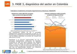 38Elaboración y acompañamiento del Plan de Negocios para el Sector Hortofrutícola en Colombia. FASE IV. Plan de Negocio Aguacate
3. FASE 3, diagnóstico del sector en Colombia
Indicadores rendimiento principales departamentos productores. AGUACATE
Los rendimientos medios de los 5 principales
departamentos productores de Aguacate se sitúan en una
horquilla que va desde las 8,4 tn/ha de Santander hasta las
10,2 de Bolívar, situándose el promedio del conjunto del
país en las 9,5 tn/ha.
Atendiendo a la evolución experimentada por los 5
principales departamentos productores de Aguacate,
únicamente el Valle del Cauca presenta una tendencia
positiva (23% de mejora del rendimiento entre 2007 y
2011), ya que en el resto de casos los rendimientos han
tendido a la baja, al igual que el promedio del conjunto del
país que ha experimentado también una trayectoria
ligeramente descendente (11% de descenso).
Fuente: Anuario Estadístico de Frutas y Hortalizas 2007-2011 y Sus Calendarios de
Siembras y Cosechas. Ministerios de Agricultura y Desarrollo Rural. Nov. 2012
Fuente: Anuario Estadístico de Frutas y Hortalizas 2007-2011 y Sus Calendarios de
Siembras y Cosechas. Ministerios de Agricultura y Desarrollo Rural. Nov. 2012
 