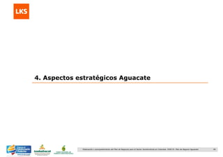 40Elaboración y acompañamiento del Plan de Negocios para el Sector Hortofrutícola en Colombia. FASE IV. Plan de Negocio Aguacate
4. Aspectos estratégicos Aguacate
 