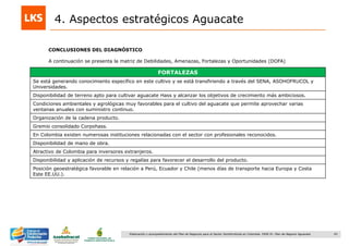 43Elaboración y acompañamiento del Plan de Negocios para el Sector Hortofrutícola en Colombia. FASE IV. Plan de Negocio Aguacate
CONCLUSIONES DEL DIAGNÓSTICO
A continuación se presenta la matriz de Debilidades, Amenazas, Fortalezas y Oportunidades (DOFA)
4. Aspectos estratégicos Aguacate
FORTALEZAS
Se está generando conocimiento específico en este cultivo y se está transfiriendo a través del SENA, ASOHOFRUCOL y
Universidades.
Disponibilidad de terreno apto para cultivar aguacate Hass y alcanzar los objetivos de crecimiento más ambiciosos.
Condiciones ambientales y agrológicas muy favorables para el cultivo del aguacate que permite aprovechar varias
ventanas anuales con suministro continuo.
Organización de la cadena producto.
Gremio consolidado Corpohass.
En Colombia existen numerosas instituciones relacionadas con el sector con profesionales reconocidos.
Disponibilidad de mano de obra.
Atractivo de Colombia para inversores extranjeros.
Disponibilidad y aplicación de recursos y regalías para favorecer el desarrollo del producto.
Posición geoestratégica favorable en relación a Perú, Ecuador y Chile (menos días de transporte hacia Europa y Costa
Este EE.UU.).
 
