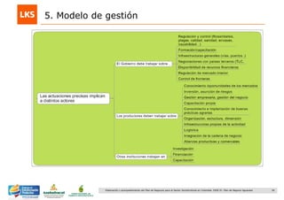 56Elaboración y acompañamiento del Plan de Negocios para el Sector Hortofrutícola en Colombia. FASE IV. Plan de Negocio Aguacate
5. Modelo de gestión
 