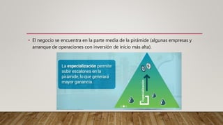 • El negocio se encuentra en la parte media de la pirámide (algunas empresas y
arranque de operaciones con inversión de inicio más alta).
 