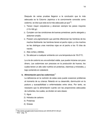 14
Después de varias pruebas llegaron a la conclusión que la más
adecuada es la Coturnix Japónica o la comúnmente conocida como
codorniz, se dice que esta es la más adecuada ya que10
:
1) Tienen mayor corpulencia y alcanzan siempre los pesos mayores
(115-180 gr)
2) Cumplen con las condiciones de buenas ponedoras: pecho alargado y
abdomen amplio.
3) Poseen una pigmentación que permite diferenciar las hembras de los
machos fácilmente: las hembras tienen el pecho rojizo y a los machos
se les distingue unas manchas rojas en el pecho a los 15 días de
nacido.
4) Alas cortas y débiles.
5) Se adecuan a cualquier ambiente con una temperatura de 18-21°C.
La cría de codorniz es una actividad viable, que puede iniciarse con poco
dinero, Las codornices son precoces en la producción de huevos, los
cuales tienen un alto valor nutritivo en proteínas, vitaminas y minerales, y
bajo contenido en colesterol.
b. Alimentación para las codornices11
La deficiencia en la nutrición de estas aves puede ocasionar problemas
al momento de su crianza: Retardo en su desarrollo, disminución en la
postura y susceptibilidad a enfermedades entre otros. Por tanto, es
necesario que la alimentación cuente con las proporciones adecuadas
de nutrientes, los cuales, se dividen en seis clases:
1) Agua
2) Hidratos de carbono
3) Proteínas
4) Grasas
10
http://www.google/codornices/crianza.com 28-05-2010 5:30 pm
11
Ibíd.
5
pág. 19
 