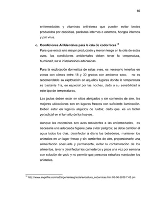 16
enfermedades y vitaminas anti-stress que pueden evitar brotes
producidos por coccidias, parásitos internos o externos, hongos internos
y por virus.
c. Condiciones Ambientales para la cría de codornices12
Para que exista una mayor producción y menor riesgo en la cría de estas
aves, las condiciones ambientales deben tener la temperatura,
humedad, luz e instalaciones adecuadas.
Para la explotación domestica de estas aves, es necesario tenerlas en
zonas con climas entre 18 y 30 grados con ambiente seco, no es
recomendable su explotación en aquellos lugares donde la temperatura
es bastante fría, en especial por las noches, dado a su sensibilidad a
este tipo de temperaturas.
Las jaulas deben estar en sitios abrigados y sin corrientes de aire, las
mejores ubicaciones son en lugares frescos con suficiente iluminación.
Deben estar en lugares alejados de ruidos; dado que, es un factor
perjudicial en el tamaño de los huevos.
Aunque las codornices son aves resistentes a las enfermedades, es
necesaria una adecuada higiene para evitar peligros; se debe cambiar el
agua todos los días, desinfectar a diario los bebederos, mantener los
animales en un lugar fresco y sin corrientes de aire, proporcionarle una
alimentación adecuada y permanente, evitar la contaminación de los
alimentos, lavar y desinfectar los comederos y pisos una vez por semana
con solución de yodo y no permitir que personas extrañas manipulen los
animales.
12
http://www.angelfire.com/ia2/ingenieriaagricola/avicultura_codornices.htm 05-06-2010 7:45 pm
 