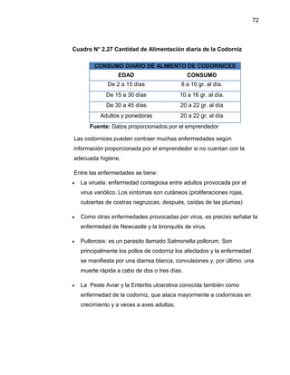 72
Cuadro N° 2.27 Cantidad de Alimentación diaria de la Codorniz
CONSUMO DIARIO DE ALIMENTO DE CODORNICES
EDAD CONSUMO
De 2 a 15 días 8 a 10 gr. al día.
De 15 a 30 días 10 a 16 gr. al día.
De 30 a 45 días 20 a 22 gr. al día
Adultos y ponedoras 20 a 22 gr. al día
Fuente: Datos proporcionados por el emprendedor
Las codornices pueden contraer muchas enfermedades según
información proporcionada por el emprendedor si no cuentan con la
adecuada higiene.
Entre las enfermedades se tiene:
 La viruela: enfermedad contagiosa entre adultos provocada por el
virus variólico. Los síntomas son cutáneos (proliferaciones rojas,
cubiertas de costras negruzcas, después, caídas de las plumas)
 Como otras enfermedades provocadas por virus, es preciso señalar la
enfermedad de Newcastle y la bronquitis de virus.
 Pullorosis: es un parasito llamado Salmonella pollorum. Son
principalmente los pollos de codorniz los afectados y la enfermedad
se manifiesta por una diarrea blanca, convulsiones y, por último, una
muerte rápida a cabo de dos o tres días.
 La Peste Aviar y la Enteritis ulcerativa conocida también como
enfermedad de la codorniz, que ataca mayormente a codornices en
crecimiento y a veces a aves adultas.
 