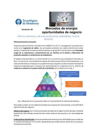 Estudiante: DB Mercados de energía:
oportunidades de negocio
PRÁCTICA INDIVIDUAL CON EVALUACIÓN ENTRE COMPAÑEROS: PLAN DE
NEGOCIOS
Planteamientode la situación:
Pequeña empresa familiar conocida como CABLEX S.A. de C.V. encargada de la producción y
venta en el segmento de cables. Sus principales productos son cables eléctricos de varios
calibres.El capital de laempresaestáformadoporungrupode 5 inversionistas cuyamotivación
surgió de la experiencia y conocimientos de sus familias en el diseño y fabricación de
productos basados en aislamientos termoplásticos.
El negocio está pensado en un sector donde no se encuentra muy explotado el mercado, es
decir,se cuenta con una competenciaregularde empresas que ofrecendichosproductos,y se
estáconsiderandounarranque ensusoperacionesque requiere unaaltainversióninicial porlas
máquinas empleadas para el proceso de polimerización en suspensión. Por lo anterior, la
empresa se ubicaría en la parte media de la pirámide que se observa en la Fig. 1
Fig. 1 Ubicación de la empresa de cables en la pirámide de la industria del plástico
Para poder cumplir con los objetivos trazados por el grupo de inversionistas, se ha definidoel
siguiente plan de negocios:
Objetivodel negocio:Ser el mejorproveedorde cablesde laregiónnoreste del país,mediante
procesos de alta calidad y protección del medio ambiente de acuerdo a las necesidades del
cliente.
Problemáticasidentificadas:Pocosproveedoresdemateriaprima,dificultadesparacumplircon
la calidad solicitada por los clientes, desperdicios por problemas de diseño de los procesos,
competencia creciente.
Cúspide (Poca competencia,
innovación y contratos de largo
plazo)
Mitad (competencia
regular, inversiones
moderadas)
Base (fuertecompetencia,
pocas inversiones)
 