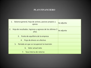 PLAN FINANCIERO 