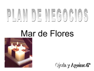 PLAN DE NEGOCIOS Mar de Flores  Ojeda y Aguirre 6º 