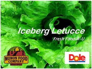 Iceberg Letucce FreshFood 4-U 