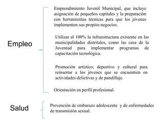 Emprendimiento Juvenil Municipal, que incluye asignación de pequeños capitales y la preparación con herramientas técnicas para que los jóvenes implementen sus propios negocios.Utilizar al 100% la infraestructura existente en las municipalidades distritales, como las casa de la Juventud para implementar programas de capacitación tecnológica. EmpleoPromoción artístico, deportivo y cultural para reinsertar a los jóvenes que se encuentren en actividades delictivas y de pandillaje.Orientación en perfil profesional.SaludPrevención de embarazo adolescente  y de enfermedades de transmisión sexual. 