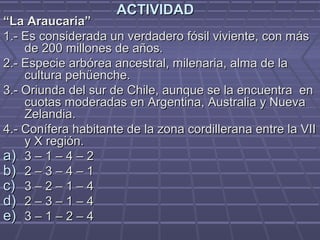 ACTIVIDADACTIVIDAD
““La Araucaria”La Araucaria”
1.- Es considerada un verdadero fósil viviente, con más1.- Es considerada un verdadero fósil viviente, con más
de 200 millones de años.de 200 millones de años.
2.- Especie arbórea ancestral, milenaria, alma de la2.- Especie arbórea ancestral, milenaria, alma de la
cultura pehüenche.cultura pehüenche.
3.- Oriunda del sur de Chile, aunque se la encuentra en3.- Oriunda del sur de Chile, aunque se la encuentra en
cuotas moderadas en Argentina, Australia y Nuevacuotas moderadas en Argentina, Australia y Nueva
Zelandia.Zelandia.
4.- Conífera habitante de la zona cordillerana entre la VII4.- Conífera habitante de la zona cordillerana entre la VII
y X región.y X región.
a)a) 3 – 1 – 4 – 23 – 1 – 4 – 2
b)b) 2 – 3 – 4 – 12 – 3 – 4 – 1
c)c) 3 – 2 – 1 – 43 – 2 – 1 – 4
d)d) 2 – 3 – 1 – 42 – 3 – 1 – 4
e)e) 3 – 1 – 2 – 43 – 1 – 2 – 4
 