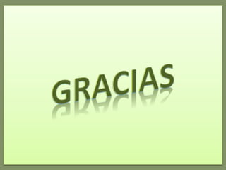 Plan deredaccion 5 to secundaria