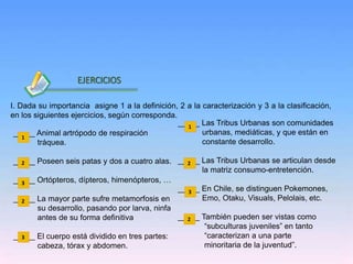 Inicio
I. Dada su importancia asigne 1 a la definición, 2 a la caracterización y 3 a la clasificación,
en los siguientes ejercicios, según corresponda.
_____ Las Tribus Urbanas son comunidades
urbanas, mediáticas, y que están en
constante desarrollo.
_____ Las Tribus Urbanas se articulan desde
la matriz consumo-entretención.
_____ En Chile, se distinguen Pokemones,
Emo, Otaku, Visuals, Pelolais, etc.
_____ También pueden ser vistas como
“subculturas juveniles” en tanto
“caracterizan a una parte
minoritaria de la juventud”.
_____ Animal artrópodo de respiración
tráquea.
_____ Poseen seis patas y dos a cuatro alas.
_____ Ortópteros, dípteros, himenópteros, …
_____ La mayor parte sufre metamorfosis en
su desarrollo, pasando por larva, ninfa
antes de su forma definitiva
_____ El cuerpo está dividido en tres partes:
cabeza, tórax y abdomen.
EJERCICIOS
2
3
3
2
1
2
3
2
1
 