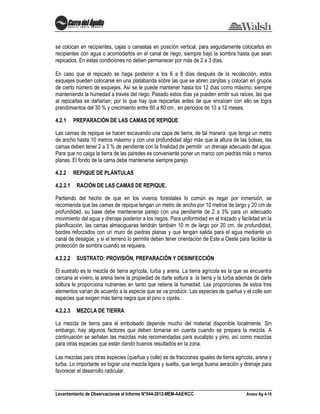 Levantamiento de Observaciones al Informe N°044-2012-MEM-AAE/KCC Anexo Ag 4-10
se colocan en recipientes, cajas o canastas en posición vertical, para seguidamente colocarlos en
recipientes con agua o acomodarlos en el canal de riego, siempre bajo la sombra hasta que sean
repicados. En estas condiciones no deben permanecer por más de 2 a 3 días.
En caso que el repicado se haga posterior a los 6 a 8 días después de la recolección, estos
esquejes pueden colocarse en una platabanda sobre las que se abren zanjitas y colocan en grupos
de cierto número de esquejes. Así se le puede mantener hasta los 12 días como máximo, siempre
manteniendo la humedad a través del riego. Pasado estos días ya pueden emitir sus raíces, las que
al repicarlas se dañarían; por lo que hay que repicarlas antes de que enraícen con ello se logra
prendimientos del 30 % y crecimiento entre 60 a 80 cm., en periodos de 10 a 12 meses.
4.2.1 PREPARACIÓN DE LAS CAMAS DE REPIQUE
Las camas de repique se hacen excavando una capa de tierra, de tal manera que tenga un metro
de ancho hasta 10 metros máximo y con una profundidad algo más que la altura de las bolsas, las
camas deben tener 2 a 3 % de pendiente con la finalidad de permitir un drenaje adecuado del agua.
Para que no caiga la tierra de las paredes es conveniente poner un marco con piedras más o menos
planas. El fondo de la cama debe mantenerse siempre parejo
4.2.2 REPIQUE DE PLÁNTULAS
4.2.2.1 RACIÓN DE LAS CAMAS DE REPIQUE.
Partiendo del hecho de que en los viveros forestales lo común es regar por inmersión, se
recomienda que las camas de repique tengan un metro de ancho por 10 metros de largo y 20 cm de
profundidad, su base debe mantenerse parejo con una pendiente de 2 a 3% para un adecuado
movimiento del agua y drenaje posterior a los riegos. Para uniformidad en el trazado y facilidad en la
planificación, las camas almacigueras tendrán también 10 m de largo por 20 cm. de profundidad,
bordes reforzados con un muro de piedras planas y que tengan salida para el agua mediante un
canal de desagüe, y si el terreno lo permite deben tener orientación de Este a Oeste para facilitar la
protección de sombra cuando se requiera.
4.2.2.2 SUSTRATO: PROVISIÓN, PREPARACIÓN Y DESINFECCIÓN
El sustrato es la mezcla de tierra agrícola, turba y arena. La tierra agrícola es la que se encuentra
cercana al vivero, la arena tiene la propiedad de darle soltura a la tierra y la turba además de darle
soltura le proporciona nutrientes en tanto que retiene la humedad. Las proporciones de estos tres
elementos varían de acuerdo a la especie que se va producir. Las especies de queñua y el colle son
especies que exigen más tierra negra que el pino o ciprés.
4.2.2.3 MEZCLA DE TIERRA
La mezcla de tierra para el embolsado depende mucho del material disponible localmente. Sin
embargo, hay algunos factores que deben tomarse en cuenta cuando se prepara la mezcla. A
continuación se señalan las mezclas más recomendadas para eucalipto y pino, así como mezclas
para otras especies que están dando buenos resultados en la zona.
Las mezclas para otras especies (queñua y colle) es de fracciones iguales de tierra agrícola, arena y
turba. Lo importante es lograr una mezcla ligera y suelta, que tenga buena aeración y drenaje para
favorecer el desarrollo radicular.
 