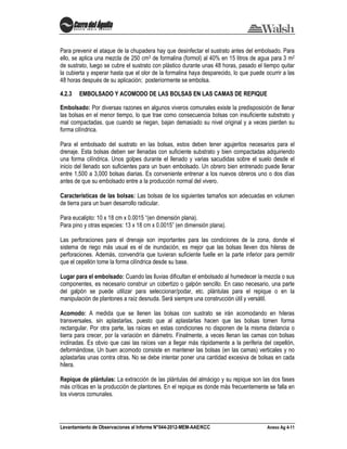 Levantamiento de Observaciones al Informe N°044-2012-MEM-AAE/KCC Anexo Ag 4-11
Para prevenir el ataque de la chupadera hay que desinfectar el sustrato antes del embolsado. Para
ello, se aplica una mezcla de 250 cm3 de formalina (formol) al 40% en 15 litros de agua para 3 m2
de sustrato, luego se cubre el sustrato con plástico durante unas 48 horas, pasado el tiempo quitar
la cubierta y esperar hasta que el olor de la formalina haya desparecido, lo que puede ocurrir a las
48 horas después de su aplicación; posteriormente se embolsa.
4.2.3 EMBOLSADO Y ACOMODO DE LAS BOLSAS EN LAS CAMAS DE REPIQUE
Embolsado: Por diversas razones en algunos viveros comunales existe la predisposición de llenar
las bolsas en el menor tiempo, lo que trae como consecuencia bolsas con insuficiente substrato y
mal compactadas, que cuando se riegan, bajan demasiado su nivel original y a veces pierden su
forma cilíndrica.
Para el embolsado del sustrato en las bolsas, estos deben tener agujeritos necesarios para el
drenaje. Esta bolsas deben ser llenadas con suficiente substrato y bien compactadas adquiriendo
una forma cilíndrica. Unos golpes durante el llenado y varias sacudidas sobre el suelo desde el
inicio del llenado son suficientes para un buen embolsado. Un obrero bien entrenado puede llenar
entre 1,500 a 3,000 bolsas diarias. Es conveniente entrenar a los nuevos obreros uno o dos días
antes de que su embolsado entre a la producción normal del vivero.
Características de las bolsas: Las bolsas de los siguientes tamaños son adecuadas en volumen
de tierra para un buen desarrollo radicular.
Para eucalipto: 10 x 18 cm x 0.0015 “(en dimensión plana).
Para pino y otras especies: 13 x 18 cm x 0.0015” (en dimensión plana).
Las perforaciones para el drenaje son importantes para las condiciones de la zona, donde el
sistema de riego más usual es el de inundación, es mejor que las bolsas lleven dos hileras de
perforaciones. Además, convendría que tuvieran suficiente fuelle en la parte inferior para permitir
que el cepellón tome la forma cilíndrica desde su base.
Lugar para el embolsado: Cuando las lluvias dificultan el embolsado al humedecer la mezcla o sus
componentes, es necesario construir un cobertizo o galpón sencillo. En caso necesario, una parte
del galpón se puede utilizar para seleccionar/podar, etc. plántulas para el repique o en la
manipulación de plantones a raíz desnuda. Será siempre una construcción útil y versátil.
Acomodo: A medida que se llenen las bolsas con sustrato se irán acomodando en hileras
transversales, sin aplastarlas, puesto que al aplastarlas hacen que las bolsas tomen forma
rectangular. Por otra parte, las raíces en estas condiciones no disponen de la misma distancia o
tierra para crecer, por la variación en diámetro. Finalmente, a veces llenan las camas con bolsas
inclinadas. Es obvio que casi las raíces van a llegar más rápidamente a la periferia del cepellón,
deformándose, Un buen acomodo consiste en mantener las bolsas (en las camas) verticales y no
aplastarlas unas contra otras. No se debe intentar poner una cantidad excesiva de bolsas en cada
hilera.
Repique de plántulas: La extracción de las plántulas del almácigo y su repique son las dos fases
más críticas en la producción de plantones. En el repique es donde más frecuentemente se falla en
los viveros comunales.
 