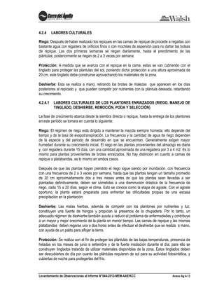 Levantamiento de Observaciones al Informe N°044-2012-MEM-AAE/KCC Anexo Ag 4-13
4.2.4 LABORES CULTURALES
Riego: Después de haber realizado los repiques en las camas de repique de procede a regarlas con
bastante agua con regadera de orificios finos o con mochilas de aspersión para no dañar las bolsas
de repique. Las dos primeras semanas se riegan diariamente, hasta el prendimiento de las
plántulas; posteriormente se riegan de 2 a 3 veces por semana.
Protección: A medida que se avanza con el repique en la cama, estas se van cubriendo con el
tinglado para proteger las plántulas del sol, poniendo dicha protección a una altura aproximada de
20 cm, este tinglado debe construirse aprovechando los materiales de la zona.
Deshierbe: Esta se realiza a mano, retirando los brotes de malezas que aparecen en los días
posteriores al repicado y que pueden competir por nutrientes con la plántula deseada, retardando
su crecimiento.
4.2.4.1 LABORES CULTURALES DE LOS PLANTONES ENRAIZADOS (RIEGO, MANEJO DE
TINGLADO, DESHIERBE, REMOCIÓN, PODA Y SELECCIÓN)
La fase de crecimiento abarca desde la siembra directa o repique, hasta la entrega de los plantones
en este periodo se tomara en cuenta lo siguiente:
Riego: El régimen de riego está dirigido a mantener la mezcla siempre húmeda; ello depende del
tiempo y de la tasa de evapotranspiración. La frecuencia y la cantidad de agua de riego dependen
de la especie y del periodo de desarrollo en que se encuentran. Generalmente exigen mayor
humedad durante su crecimiento inicial. El riego en las plantas provenientes del almacigo es diaria
y, con regadera durante 15 días, con una cantidad aproximada de una regadera por 3 a 4 m2. Es lo
mismo para plantas provenientes de brotes enraizados. No hay distinción en cuanto a camas de
repique o platabandas, es lo mismo en ambos casos.
Después de que las plantas hayan prendido el riego sigue siendo por inundación, con frecuencia
con una frecuencia de 2 a 3 veces por semana, hasta que las plantas tengan un tamaño promedio
de 20 cm aproximadamente dos a tres meses antes de que las plantas sean llevadas a ser
plantadas definitivamente, deben ser sometidas a una disminución drástica de la frecuencia de
riego, cada 15 a 20 días, según el clima. Esto se conoce como la etapa de agoste. Con el agoste
oportuno, la planta estará preparada para enfrentar las dificultades propias de una escasa
precipitación en la plantación.
Deshierbe: Las malas hierbas, además de competir con los plantones por nutrientes y luz,
constituyen una fuente de hongos y propician la presencia de la chupadera. Por lo tanto, un
adecuado régimen de deshierbe también ayuda a reducir el problema de enfermedades y contribuye
a un mayor y mejor crecimiento de la planta en menor tiempo. Las camas de repique y las mismas
platabandas deben regarse una a dos horas antes de efectuar el deshierbe que se realiza a mano,
con ayuda de un palito para aflojar la tierra.
Protección: Se realiza con el fin de proteger las plántulas de las bajas temperaturas, presencia de
heladas en los meses de junio a setiembre y de la fuerte insolación durante el día; para ello se
construyen tinglados tratando de utilizar materiales disponibles de la zona. Estos tinglados deben
ser descubiertos de día por cuanto las plántulas requieren de sol para su actividad fotosintética, y
cubiertas de noche para protegerlas del frío.
 