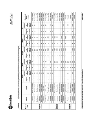 LevantamientodeObservacionesalInformeN°044-2012-MEM-AAE/KCCAnexoAg4-16
Cuadro9Especiesarbóreas,arbustivasyherbáceas,recomendadasparalasáreasarevegetar.
Formade
vida
FamiliaEspecie
BrcmMrcmBdpmMdpmVr
Obtenciónde
plantasa
revegetar
Especies
a
revegetar
Densidad
de
siembra
sugerida
(ind/ha)
Especies
a
revegetar
Densidad
de
siembra
sugerida
(ind/ha)
Especies
a
revegetar
Densidad
de
siembra
sugerida
(ind/ha)
Especies
a
revegetar
Densidad
de
siembra
sugerida
(ind/ha)
Especies
a
revegetar
Densidad
de
siembra
sugerida
(ind/ha)
Especies
arbóreas
FabaceaeAcaciamacracanthax10X20x500x50X50Vivero(semilla)
BetulaceaeAlnusacuminatax10x500x50x50Vivero(semilla)
BuddlejaceaeBuddlejaincanax10x500x20Vivero(semilla)
MeliaceaeCedrelamontanax10X100Vivero(semilla)
BombacaceaeEriothecavargasiix10x200x20X50Vivero(semilla)
FabaceaeIngaedulisX10x20x500x20x50Vivero(semilla)
AnacardiaceaeSchinusmollex20X100X20X10Vivero(semilla)
MyrtaceaePsidiumguianeensex50X2000x250Vivero(semilla)
Especies
arbustivas
MalvaceaeAbutilonvirgatumX20X250X250Vivero(semilla)
AgavaceaeAgaveamericanax20x500x100x50Traslado
AsteraceaeAristeguietiadiscolorx250x1000X500Vivero(semilla)
AsteraceaeBaccharischilcox250x2000x500Vivero(semilla)
AsteraceaeBarnadesiadombeyanax2000Vivero(semilla)
BerberidaceaeBerberisflexuosax250x2000X1000Vivero(semilla)
AgavaceaeFurcraeaandinax250x1000X100Vivero(semilla)
Especies
herbáceas
ScrophulariaceaeAgalinislanceolatax200x1000X1000Traslado
PoaceaeAristidaadscencionisX80X200X500Traslado
BrassicaceaBrassicacampestrisx500Traslado
FabaceaeCrotalariaincanax300x200x20000x10000x2000Siembradirecta
FabaceaeDesmodiummolliculumxX200x1000x500Traslado
 