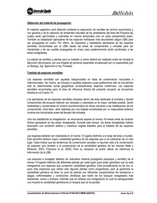 Levantamiento de Observaciones al Informe N°044-2012-MEM-AAE/KCC Anexo Ag 4-18
Obtención del material de propagación
El material vegetativo será obtenido mediante la adquisición de semillas de centros reconocidos y
con garantía y de la colección de ambientes naturales de los alrededores del área del Proyecto las
cuales serán germinadas y cultivadas en viveros temporales (uno en cada campamento base).
También se trasladarán ejemplares de las especies herbáceas más abundantes (según LBB) para
ser propagadas en vivero. Por último, se colectarán y trasladarán ejemplares de las especies
sensibles (encontradas por la LBB) desde las áreas de componentes y embalse para ser
mantenidas y de ser posible propagadas en vivero para posteriormente serán sembradas a las
áreas revegetadas.
La colecta de semillas y plantas para su traslado a vivero deberá ser realizado antes de iniciada la
ejecución del proyecto, por una brigada de personal capacitado encabezado por un especialista (por
un Biologo, Ing. Agronomo o Ing. Forestal).
Traslado de especies sensibles
Las especies sensibles son aquellas categorizadas en listas de conservación nacionales e
internacionales. Así mismo, se incluyen a aquellas especies cuyas poblaciones sólo se encuentran
sólo en determinadas zonas geográficas considerándose especies endémicas. Las especies
sensibles encontradas para el área de influencia directa del presente proyecto se encuentran
listadas en el Cuadro 10.
Los ejemplares de las especies sensibles ubicadas dentro del área destinada al embalse y demás
componentes del proyecto deberán ser ubicados y colectados en la mayor cantidad posible. Serán
trasladadas y conservadas en viveros acondicionados en áreas cercanas a las instalaciones de los
componentes. Esta labor, será realizada por una brigada encabezada por un especialista botánico
durante dos temporadas antes del llenado del embalse.
Una vez establecida la revegetación, se recomienda esperar al menos 18 meses antes de reubicar
dichos ejemplares en las áreas revegetadas. Durante este tiempo, las áreas revegetadas habrán
alcanzado una condición edáfica y cobertura vegetal estables para el traslado de las especies
sensibles.
Las especies deberán ser colectadas en al menos 10 lugares distintos a lo largo del área a inundar.
Esto permitirá obtener mayor variabilidad genética de las especies que si se colectaran de un solo
lugar. Cabe indicar que las tendencias de conservación actuales no apuntan sólo a la conservación
de especies sino también a la conservación de la variabilidad genética de las mismas (Neel y
Ellstrand, 2003; Francisco et al. 2000). Para su ubicación se podrá utilizar de referencia la
información de la LBB.
Las especies a revegetar deberán de colectarse material propagativo (esquejes y semillas) de al
menos 10 lugares distintos (de diferentes plantas por cada lugar) para poder garantizar que se está
revegetando con especies que conservan variabilidad genética. Este procedimiento es tal vez un
poco más engorroso que utilizar sólo algunas plantas como progenitoras, pero al garantizar la
variabilidad genética se tiene un pool de plantas con diferentes características de resistencia a
plagas, enfermedades y condiciones climáticas que harán de los bosques revegetados más
resistentes, sanos y exitosos. Además que se obtiene una revegetación la cual ha salvaguardado
una muestra la variabilidad genética de un bosque que se ha perdido.
 