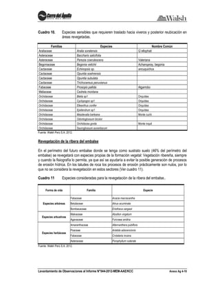 Levantamiento de Observaciones al Informe N°044-2012-MEM-AAE/KCC Anexo Ag 4-19
Cuadro 10. Especies sensibles que requieren traslado hacia viveros y posterior reubicación en
áreas revegetadas.
Familias Especies Nombre Común
Araliaceae Aralia soratensis Q´ellophati
Asteraceae Baccharis salicifolia
Asteraceae Perezia coerulescens Valeriana
Begoniaceae Begonia veitchii Achanqaray, begonia
Cactaceae Echinopsis sp. ancuquichca
Cactaceae Opuntia soehrensis
Cactaceae Opuntia subulata
Cactaceae Trichocereus peruvianus
Fabaceae Prosopis pallida Algarrobo
Meliaceae Cedrela montana
Orchidaceae Bletia sp1 Orquídea
Orchidaceae Cyclopogon sp1 Orquídea
Orchidaceae Elleanthus conifer Orquídea
Orchidaceae Epidendrum sp1 Orquídea
Orchidaceae Masdevalia barleana Monte cuchi
Orchidaceae Odontoglossum bicolor
Orchidaceae Orchidacea gorda Monte inquil
Orchidaceae Sauroglossum aurantiacum
Fuente: Walsh Perú S.A. 2012.
Revegetación de la ribera del embalse
En el perímetro del futuro embalse donde se tenga como sustrato suelo (46% del perímetro del
embalse) se revegetará con especies propias de la formación vegetal: Vegetación ribereña, siempre
y cuando la fisiografía lo permita, ya que así se ayudaría a evitar la posible generación de procesos
de erosión hídrica. En los taludes de roca los procesos de erosión prácticamente son nulos, por lo
que no se considera la revegetación en estos sectores (Ver cuadro 11).
Cuadro 11 Especies consideradas para la revegetación de la ribera del embalse..
Forma de vida Familia Especie
Especies arbóreas
Fabaceae Acacia macracantha
Betulaceae Alnus acuminata
Bombacaceae Eriotheca vargasii
Especies arbustivas
Malvaceae Abutilon virgatum
Agavaceae Furcraea andina
Especies herbáceas
Amaranthaceae Alternanthera pubiflora
Poaceae Aristida adscencionis
Fabaceae Crotalaria incana
Asteraceae Porophyllum ruderale
Fuente: Walsh Perú S.A. 2012.
 