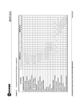 LevantamientodeObservacionesalInformeN°044-2012-MEM-AAE/KCCAnexoAg4-24
Cuadro12CronogramadeProduccióndePlantasyrevegetación
ACTIVIDADES
MESES(año1)MESES(año2)
123456789101112131415161718192021222324
1.-AbastecimientodeSemillas
Adquisicióndesemillasxxxx
Adquisicióndematerialvegetativoxxx
Adquisicióndeplántulasxxxx
2.-Instalacióndeviveros
Preparacióndecamasdealmácigosxxx
Prep...decamasderepiquexxxx
Prep...decubiertasotingladosxxxX
3.-Producción
Preparacióndesustratoxxxx
Llenadodebolsasoplatabandasxxxx
Repicadodeplántulasxxxx
4.-Cuidadosculturales
Riegoxxxxx
DeshierboxxxxxXxx
RemociónxxxxxXxx
PodaderamasxXxx
AgostexXxx
6.-Plantaciónysiembra
Reconocimientodesitioarevegetarxxxxx
Seleccióndeespeciesxxxxxx
AcondicionamientodelterrenoXxxxxxxx
LimpiezayniveladoXxxXx
SelecciónytransportedeplantonesXxxXxX
AperturadehoyosXXxxX
PlantaciónXxxxx
IncorporacióndeMateriaOrgánicaxxX
 