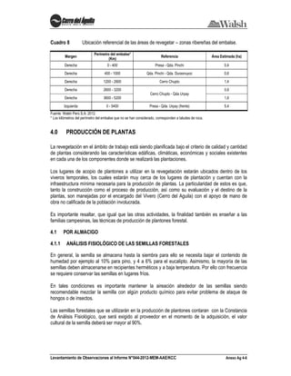 Levantamiento de Observaciones al Informe N°044-2012-MEM-AAE/KCC Anexo Ag 4-6
Cuadro 8 Ubicación referencial de las áreas de revegetar – zonas ribereñas del embalse.
Margen
Perímetro del embalse*
(Km)
Referencia Área Estimada (ha)
Derecha 0 - 400 Presa - Qda. Pinchi 0,4
Derecha 400 - 1000 Qda. Pinchi - Qda. Durasnuyoc 0,6
Derecha 1200 - 2600 Cerro Chupto 1,4
Derecha 2600 - 3200
Cerro Chupto - Qda Urpay
0,6
Derecha 3600 - 5200 1,6
Izquierda 0 - 5400 Presa - Qda. Urpay (frente) 5,4
Fuente: Walsh Perú S.A. 2012.
* Los kilómetros del perímetro del embalse que no se han considerado, corresponden a taludes de roca.
4.0 PRODUCCIÓN DE PLANTAS
La revegetación en el ámbito de trabajo está siendo planificada bajo el criterio de calidad y cantidad
de plantas considerando las características edáficas, climáticas, económicas y sociales existentes
en cada una de los componentes donde se realizará las plantaciones.
Los lugares de acopio de plantones a utilizar en la revegetación estarán ubicados dentro de los
viveros temporales, los cuales estarán muy cerca de los lugares de plantación y cuentan con la
infraestructura mínima necesaria para la producción de plantas. La particularidad de estos es que,
tanto la construcción como el proceso de producción, así como su evaluación y el destino de la
plantas, son manejadas por el encargado del Vivero (Cerro del Aguila) con el apoyo de mano de
obra no calificada de la población involucrada.
Es importante resaltar, que igual que las otras actividades, la finalidad también es enseñar a las
familias campesinas, las técnicas de producción de plantones forestal.
4.1 POR ALMACIGO
4.1.1 ANÁLISIS FISIOLÓGICO DE LAS SEMILLAS FORESTALES
En general, la semilla se almacena hasta la siembra para ello se necesita bajar el contenido de
humedad por ejemplo al 10% para pino, y 4 a 6% para el eucalipto. Asimismo, la mayoría de las
semillas deben almacenarse en recipientes herméticos y a baja temperatura. Por ello con frecuencia
se requiere conservar las semillas en lugares fríos.
En tales condiciones es importante mantener la aireación alrededor de las semillas siendo
recomendable mezclar la semilla con algún producto químico para evitar problema de ataque de
hongos o de insectos.
Las semillas forestales que se utilizarán en la producción de plantones contaran con la Constancia
de Análisis Fisiológico, que será exigido al proveedor en el momento de la adquisición, el valor
cultural de la semilla deberá ser mayor al 90%.
 