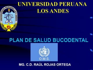 UNIVERSIDAD PERUANA  LOS ANDES PLAN DE SALUD BUCODENTAL MG. C.D. RAÚL ROJAS ORTEGA 