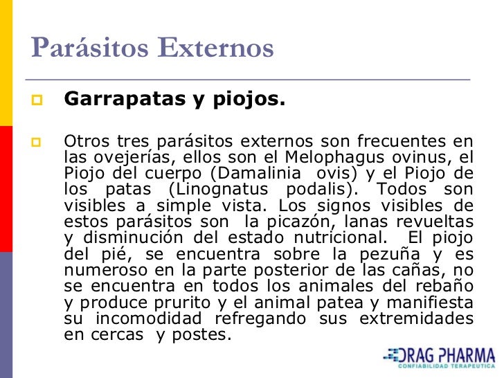 El análisis la tensión de la inmunidad por los parásitos