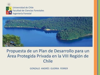 Propuesta de un Plan de Desarrollo para un Área Protegida Privada en la VIII Región de Chile Universidad de Chile Facultad de Ciencias Forestales Ingeniería Forestal GONZALO  ANDRÉS  GUERRA  FERRER 