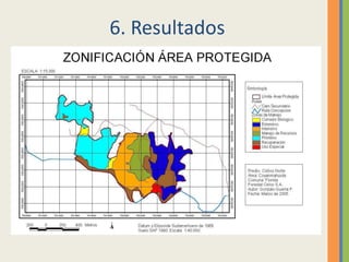 6. Resultados