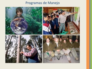 Programas de Manejo