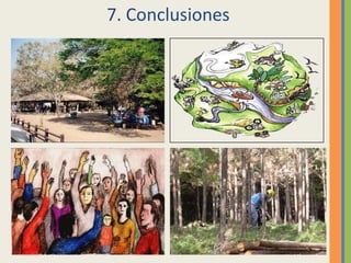 7. Conclusiones