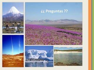 ¿¿ Preguntas ??