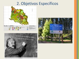 2. Objetivos Específicos