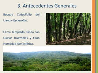 3. Antecedentes GeneralesBosque Caducifolio del Llano y Esclerófilo.Clima Templado Cálido con Lluvias Invernales y Gran Humedad Atmosférica.